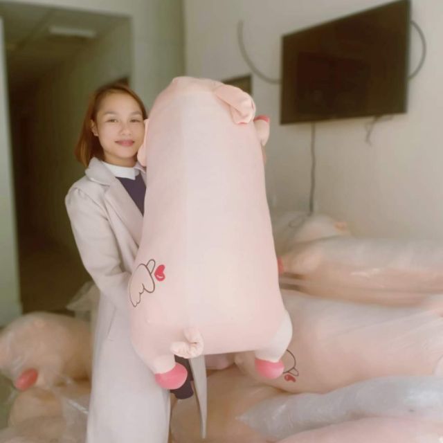 con heo 1m2 chỉ còn 280k