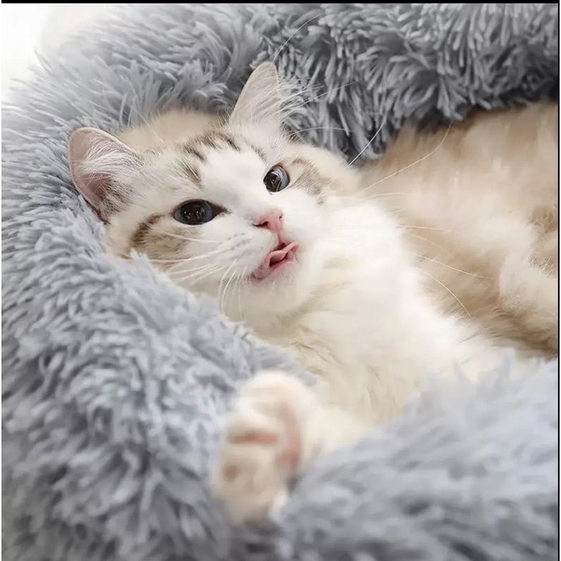 Nệm Ngủ Cao Cấp Cho Chó Mèo Thú Cưng( Giao màu ngẫu nhiên)