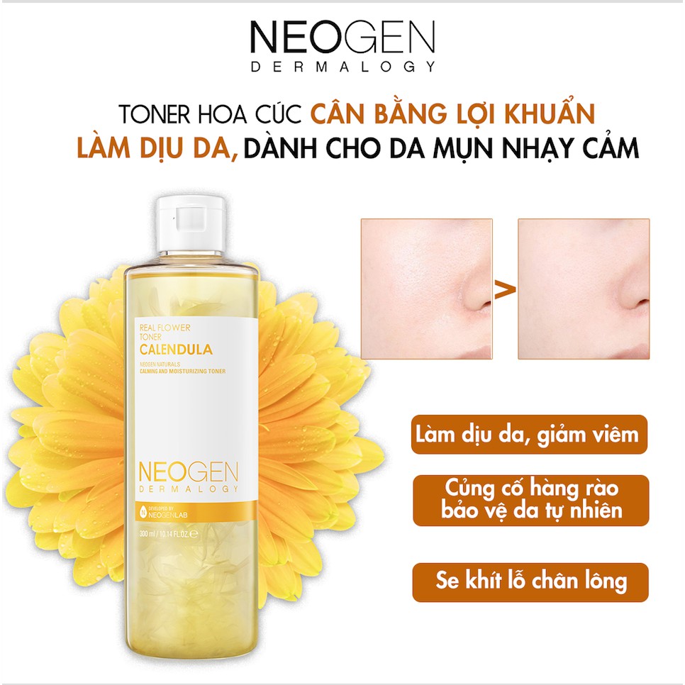 Toner Hoa Cúc Cân Bằng Lợi Khuẩn, Làm Dịu Da, Siêu Cấp Ẩm Cho Da Mụn Nhạy Cảm Neogen Dermalogy 300ml | BigBuy360 - bigbuy360.vn