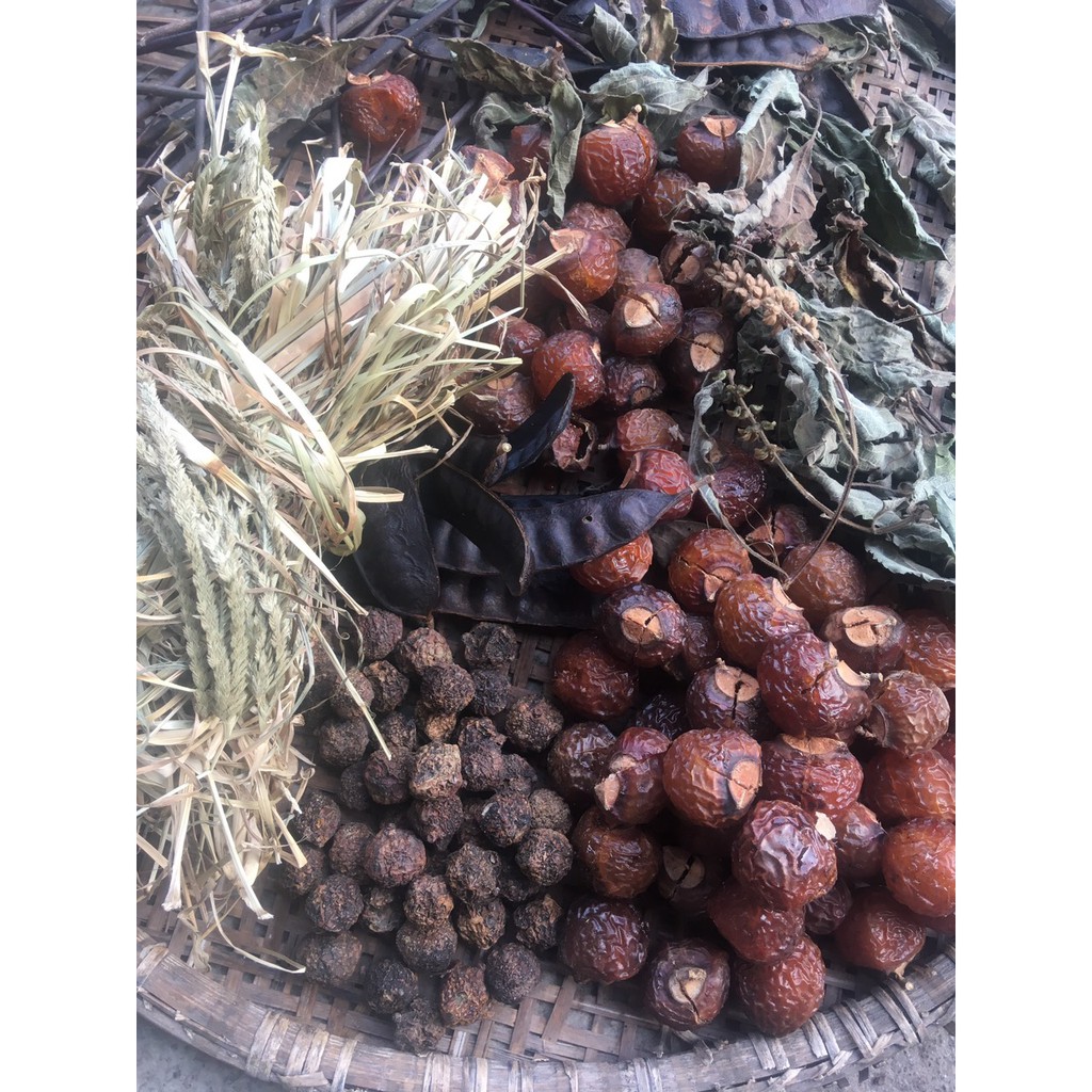 Gai Bồ Kết (Gội Đầu) 100g