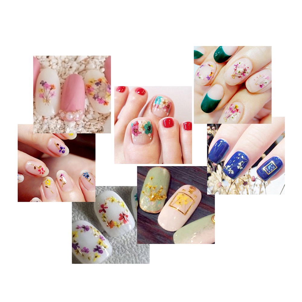 MONJA Bộ hoa khô 3D tự nhiên 12 màu sắc dành cho trang trí móng tay nghệ thuật