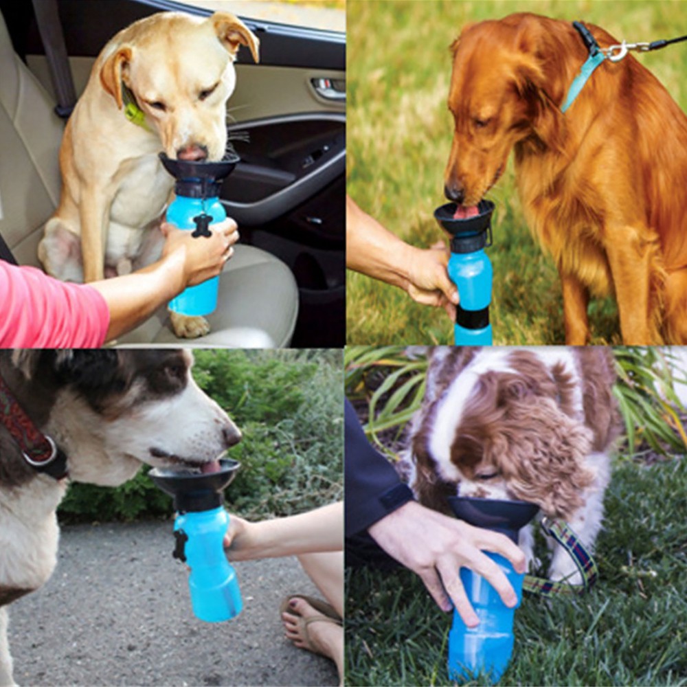 Bình đựng nước uống tiện lợi cho thú cưng