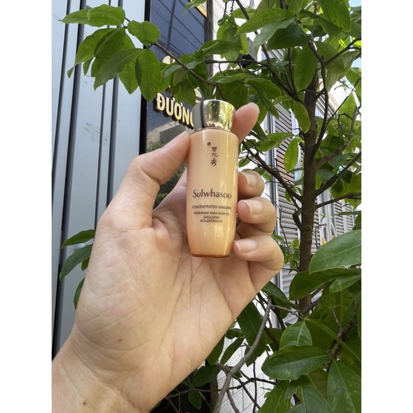 Cặp nước hoa hồng và sữa dưỡng nhân sâm Sulwhasoo Concentrated Gingseng Renewing 25ml