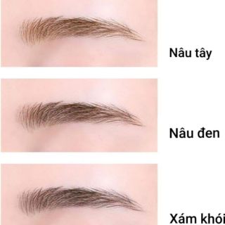 Set khung kẻ mày +bột tán