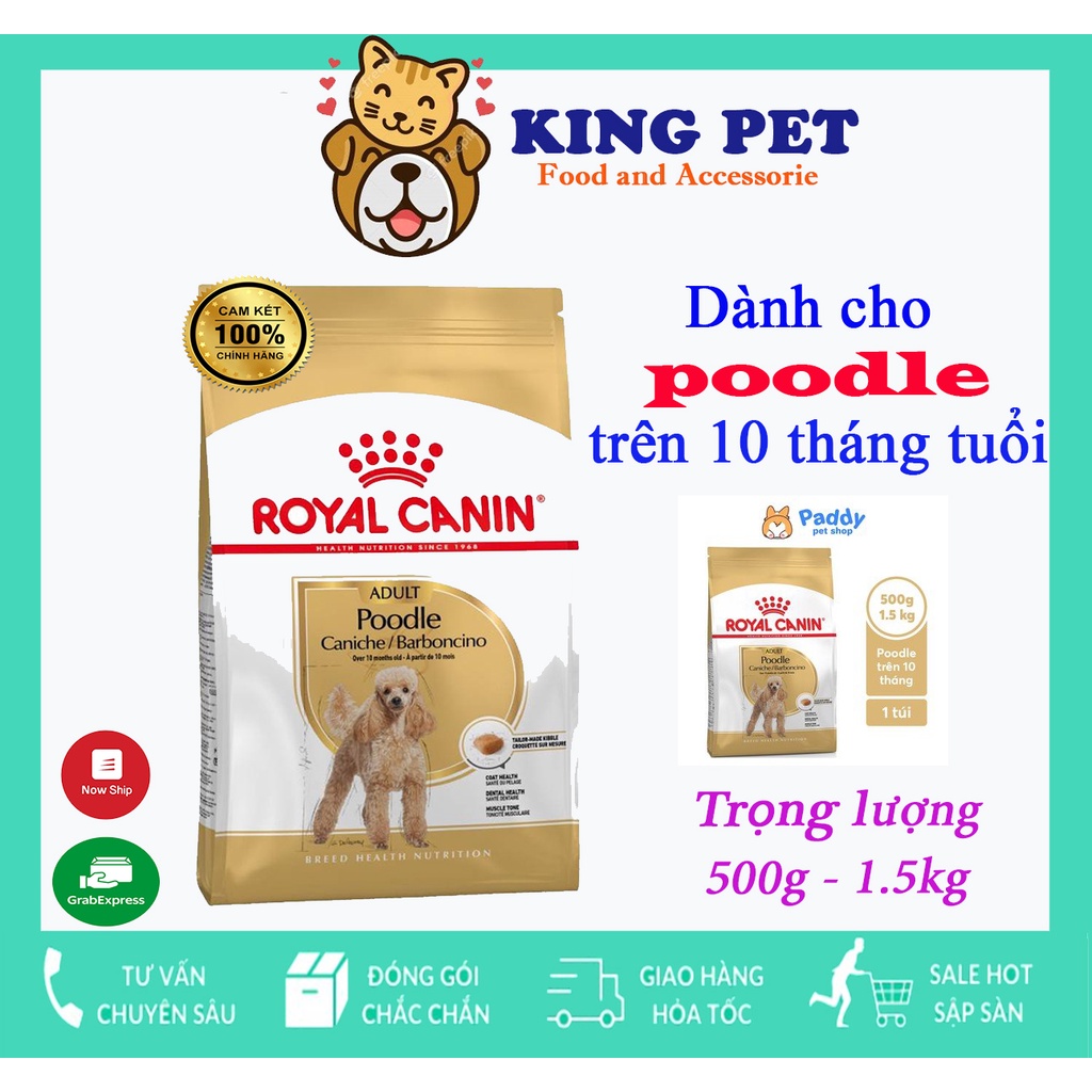 Thức Ăn Cho Chó Poodle trưởng thành -Hạt Royal Canin Poodle Adult