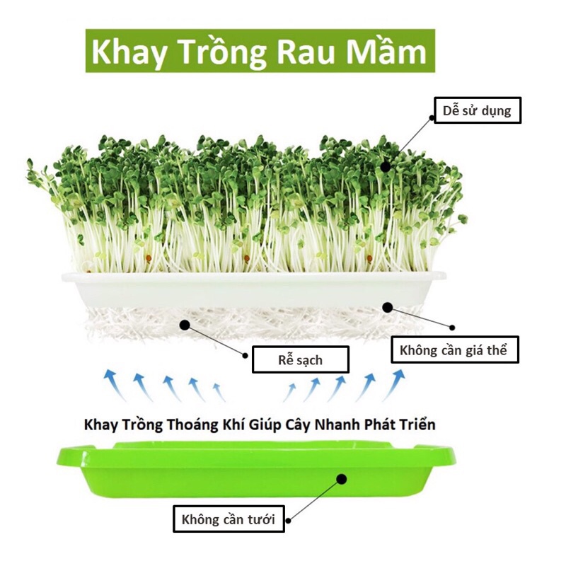 Khay Trồng Rau Mầm Thông Minh