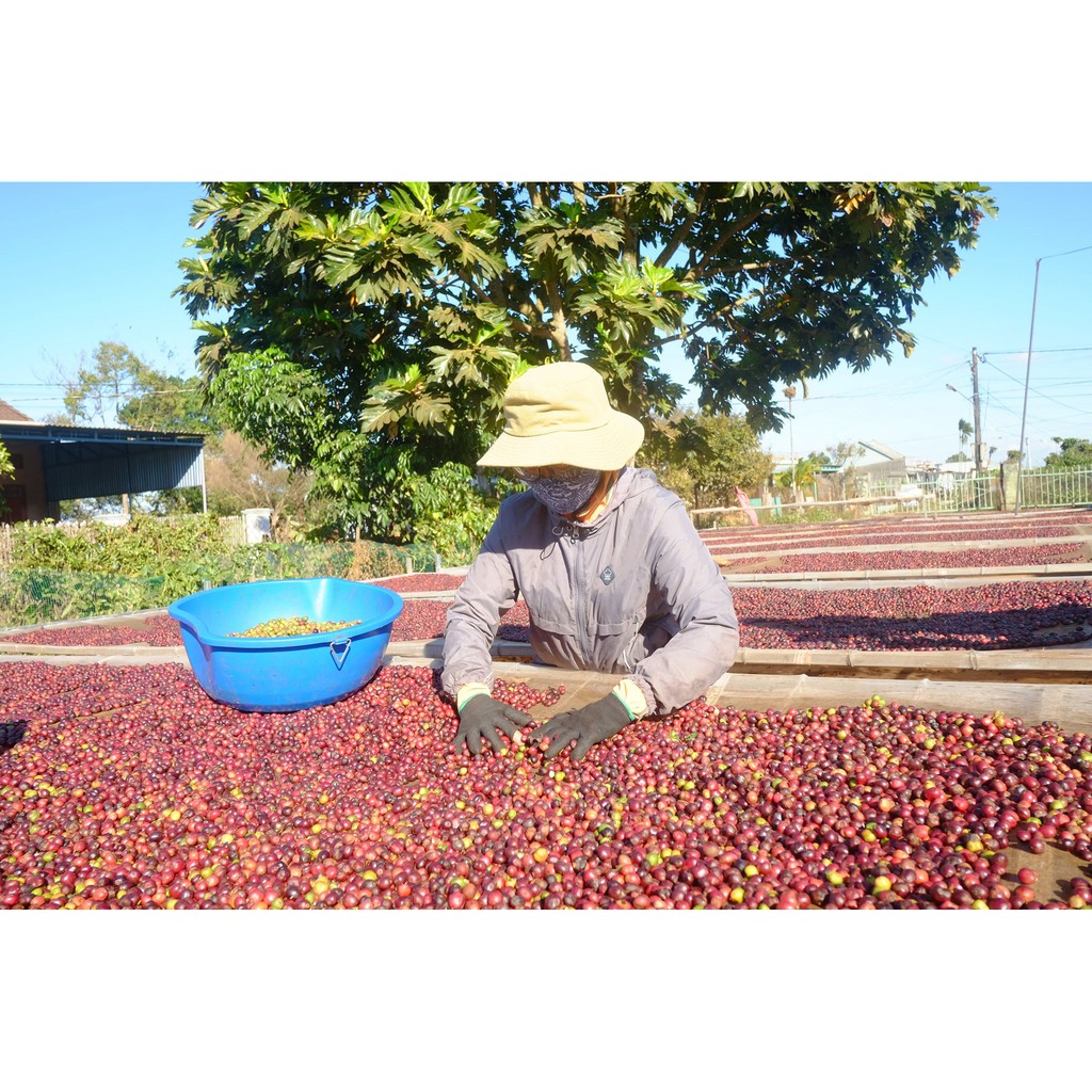 Cà Phê Mê Trang (100% hạt Robusta) | BigBuy360 - bigbuy360.vn