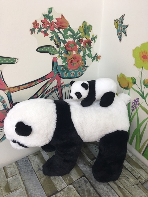 Set 2 em gấu bông cùng loại siêu xinh