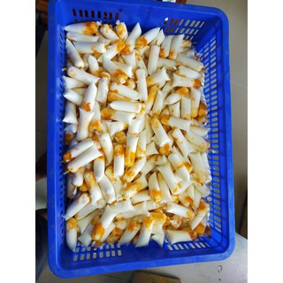 SỮA CHUA XOÀI
