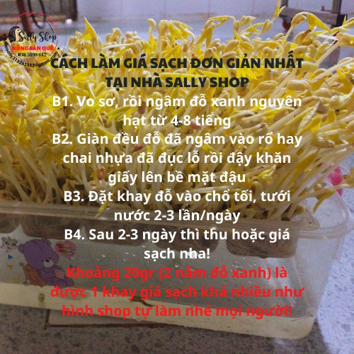 500gr Đậu Xanh Nguyên Hạt SallyFood Hữu Cơ Làm Giá Đỗ, Nấu Chè Xôi Hột  Đỗ Xanh Còn Vỏ Sạch - Shop Nông Sản  Quê