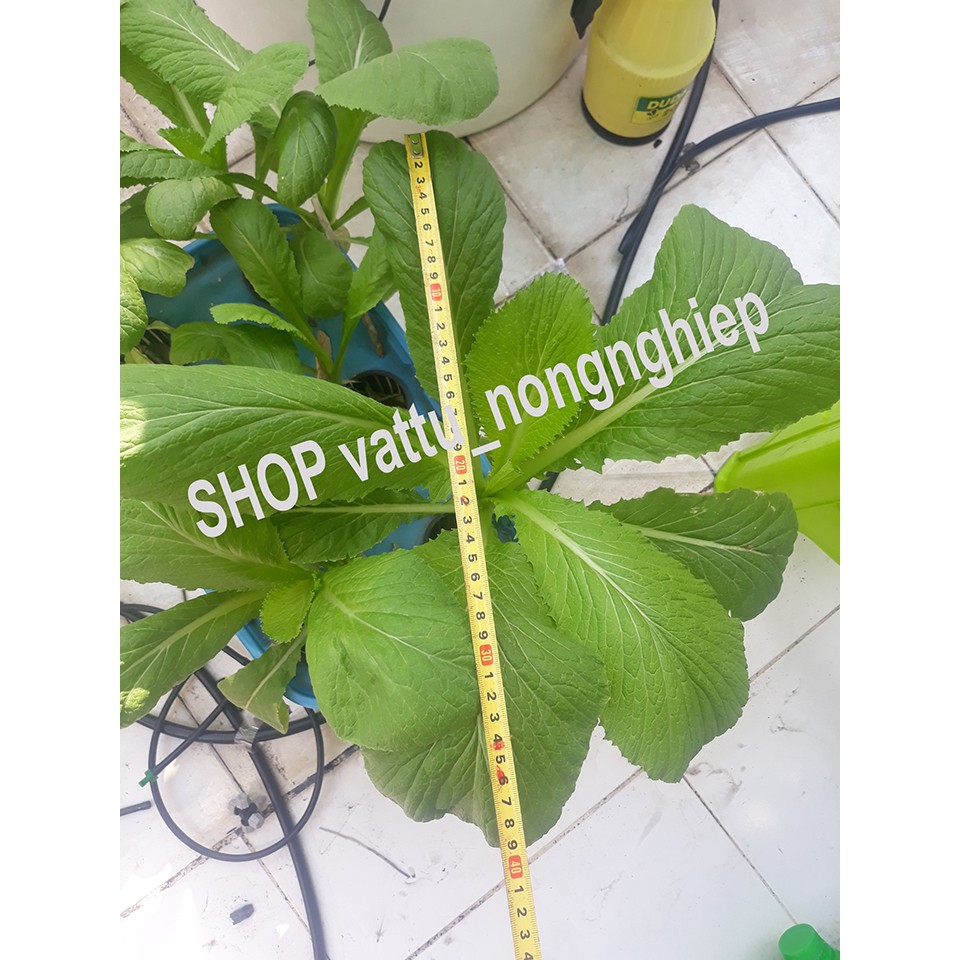 Dinh dưỡng thủy canh Hoptri Hydro Leafy 10kg (trồng tất cả các loại rau ăn lá)