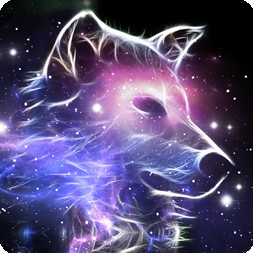 Xiyuan Fashion Accessories