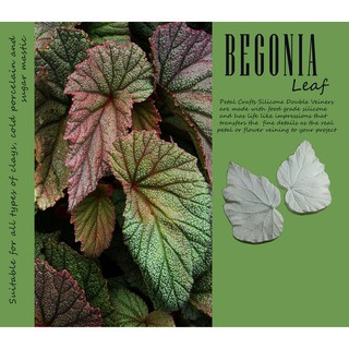 Begonia - Khuôn vân nhựa dẻo hoa đất lấy vân 2 mặt