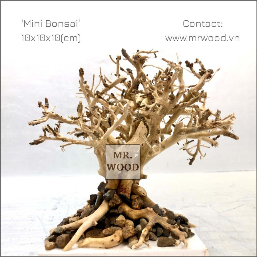 Lũa Bonsai Mini (Cây Đa) Cho Bể Cá Để Bàn - Xưởng Lũa Mr Wood