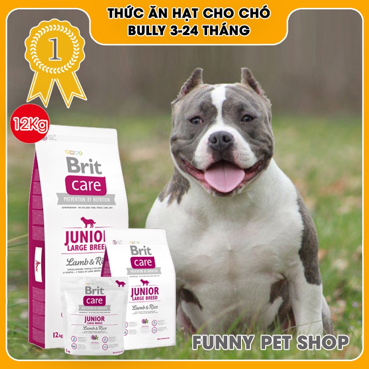 Thức Ăn Cho Chó Bully 3 - 24 Tháng | Brit Care Junior Large Breed Lamb & Rice