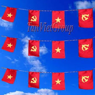 cờ dây tổ quốc