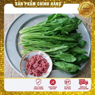 SET 02 gói hạt giống rau bina Rau bó xôi dễ trồng tặng 1 phânbón