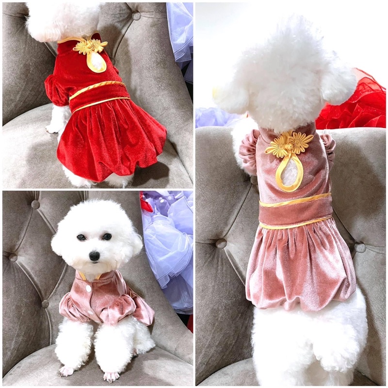 Đầm Nhung Tùng Bí cho chó mèo