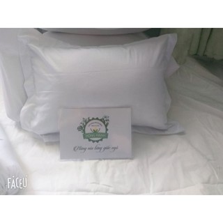 Gối  gòn tự nhiên size 35x50cm có áo gối trắng  co ton. y hình