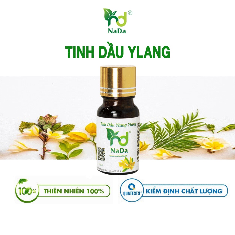 Tinh dầu Ngọc Lan Tây (Ylang) nguyên chất Nada Oils | Kiểm định QT3 | Làm nước hoa, giảm Stress, chống trầm cảm