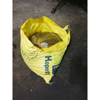 Mỡ bôi trơn vàng SG túi 10Kg