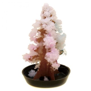 Cây thông Noel tự nở hoa thần kì-Xmas Tree