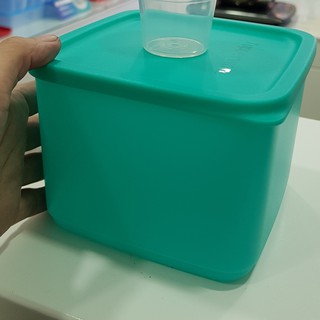 Hộp bảo quản thực phẩm Medium Summer Fresh- Tupperware