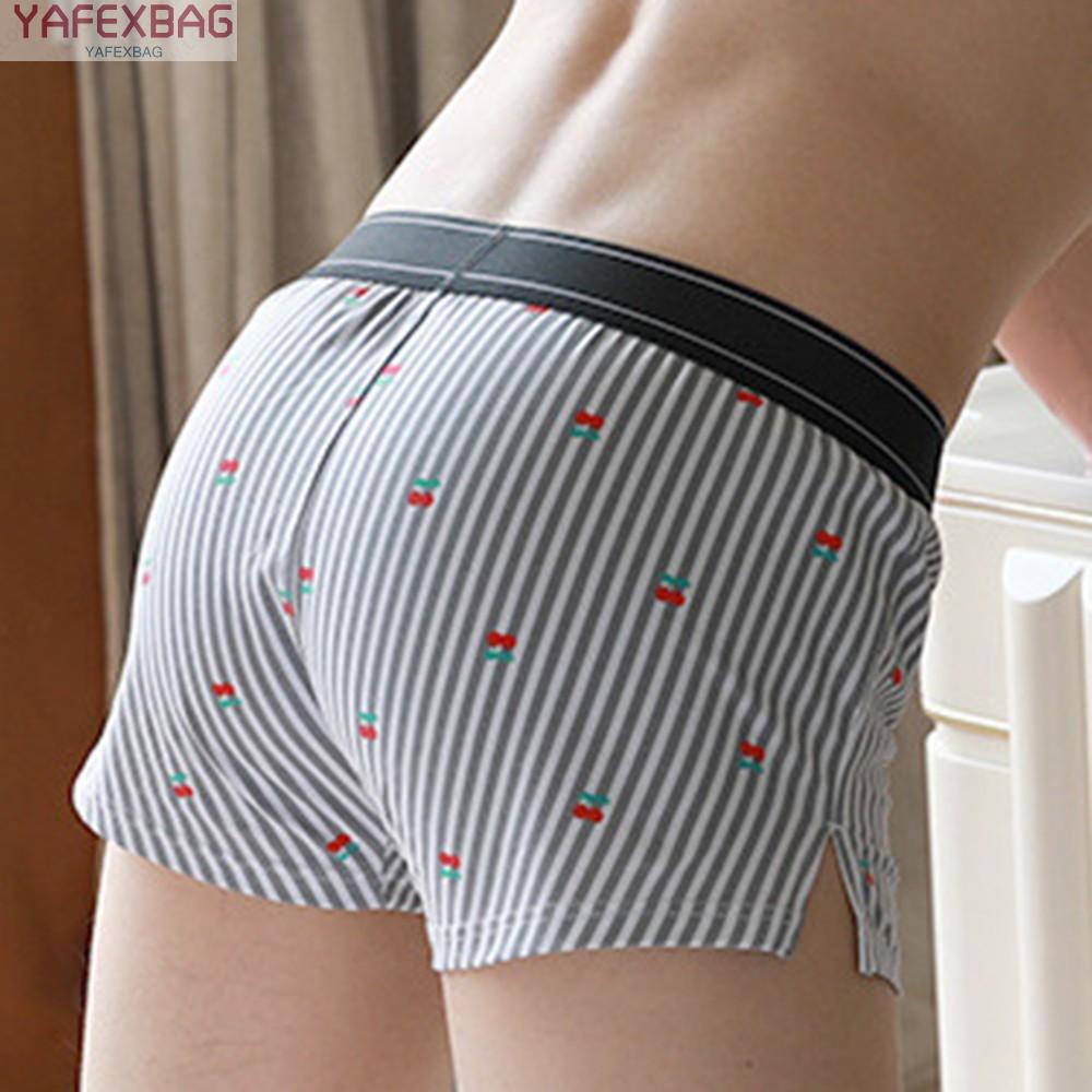 Quần Lót Chất Cotton Hoạ Tiết In Thiết Kế Dáng Rộng Thoải Mái | BigBuy360 - bigbuy360.vn