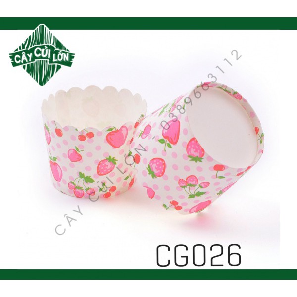 Set 50 cup giấy cứng tròn nhỏ