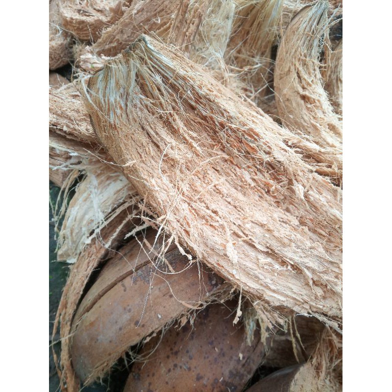 Sơ dừa miếng trồng lan/ lót châu