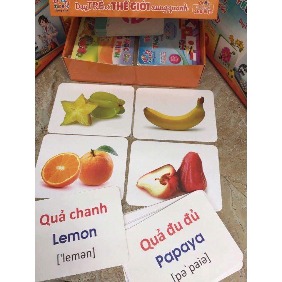 Thẻ Học Flsahcards Cho Bé Học Tiếng Anh Chủ Đề Quốc Kỳ Các Nước,Thẻ Học Thông Minh BiBo