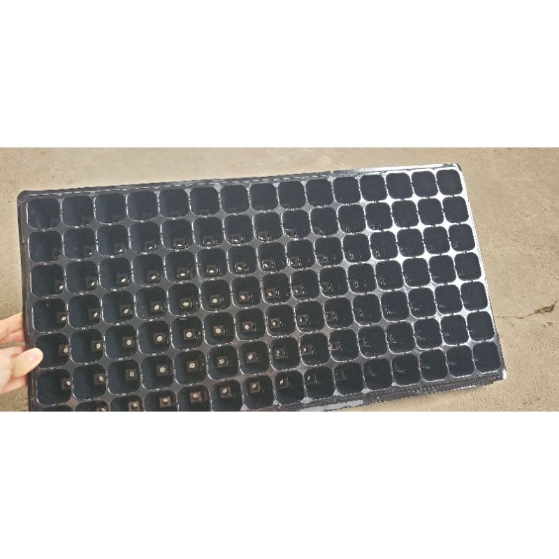Khay ươm hạt 72 lỗ, 105 lỗ