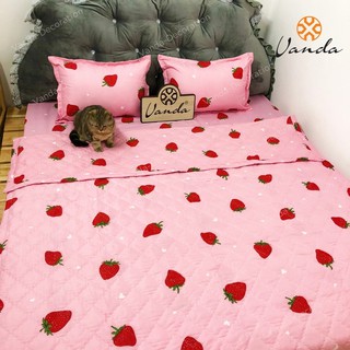 Bộ chăn hè Cotton Poly VN ga gối , drap giường họa tiết dâu tây hồng