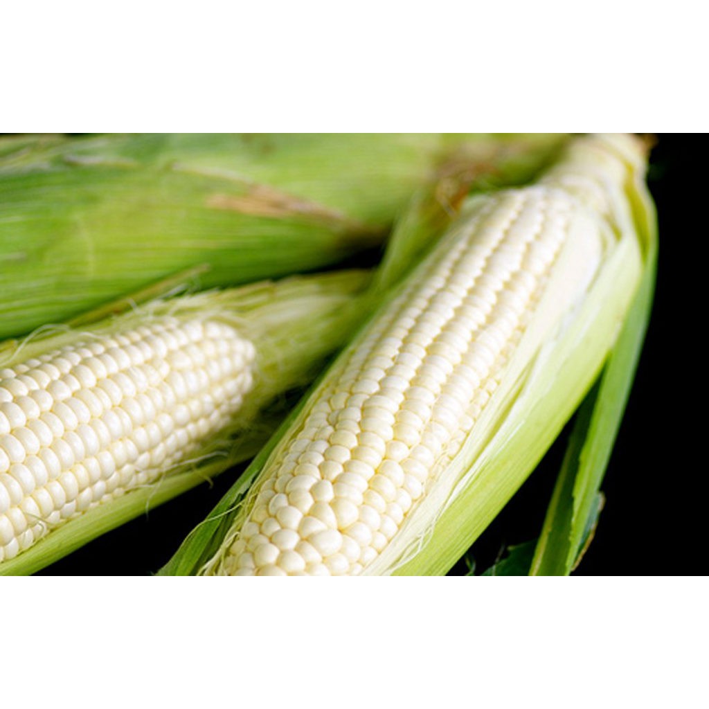 HẠT BẮP NẾP F1 TRẮNG - GÓI 100 GRAM