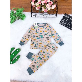 COMBO 4 bộ dài tay bé trai bé gai