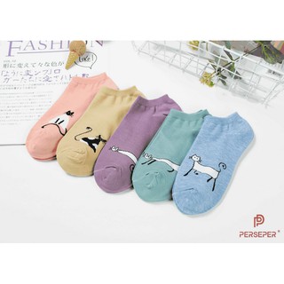 combo 5 đôi tất thời trang nữ ngắn vớ xinh cute hàn quốc T616