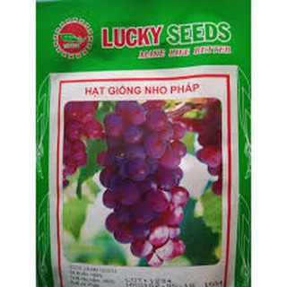 Hạt Giống Nho Pháp Lùn LUCKY SEEDS ( 10 hạt)
