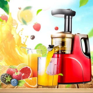 Máy ép trái cây chậm hongxin rh310
