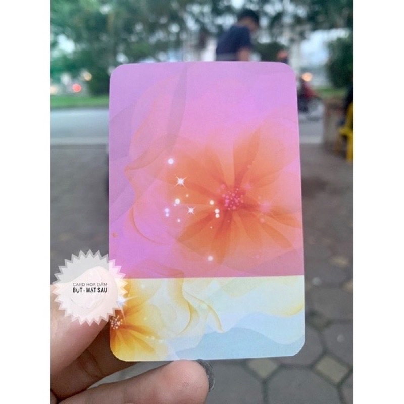 Card hoa dâm bụt thanh tẩy tài chính