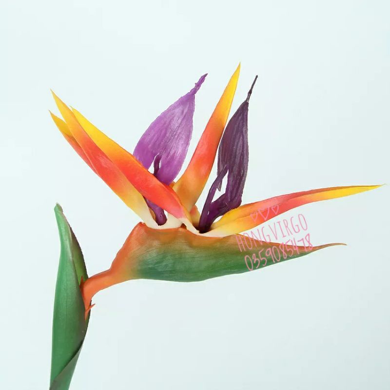 🥰 Cành hoa thiên điểu giả dài 80cm decor siêu xinh