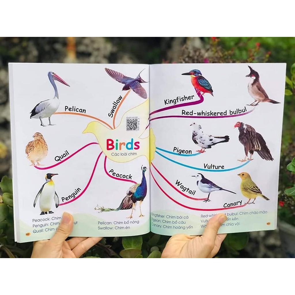 Sách (Combo, Lẻ Tùy Chọn) 1001 Mẫu Câu Tiếng Anh Giao Tiếp Thông Dụng Và Chinh Phục Từ Vựng Tiếng Anh Theo Sơ Đồ Tư Duy