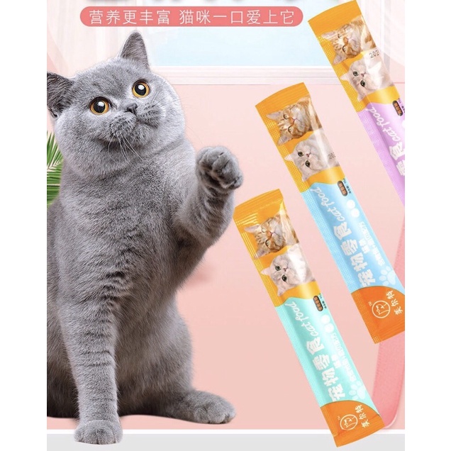 Súp thưởng cho mèo Cat Food 15g/thanh- Pate súp thưởng mèo yêu thích giá rẻ