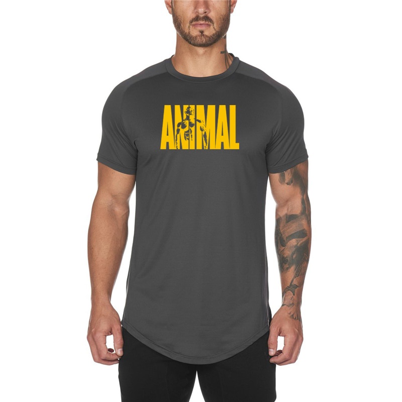 Áo thun thể thao tay ngắn thời trang cho nam