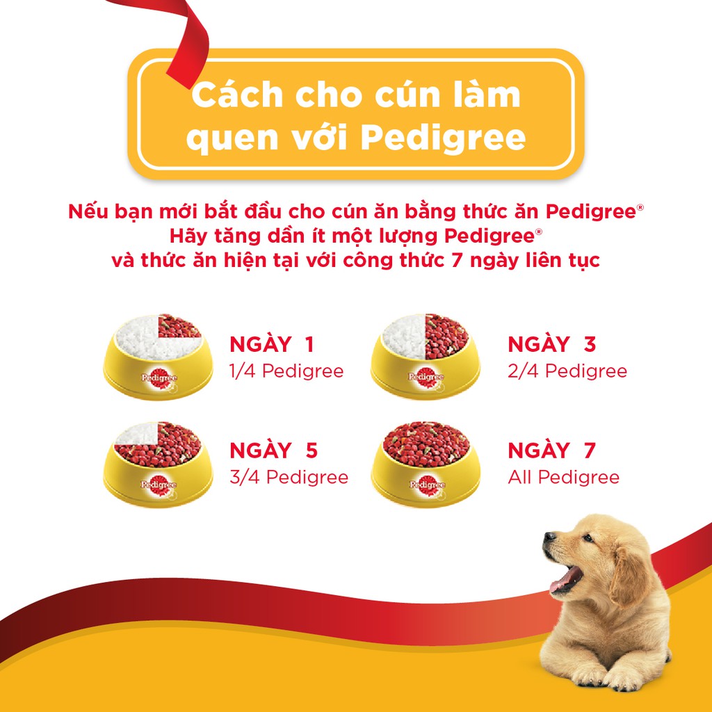 Combo Thức ăn chó con Pedigree vị gà &amp; trứng túi 1.3kg + 6 túi Sốt chó con 80g vị gà gan