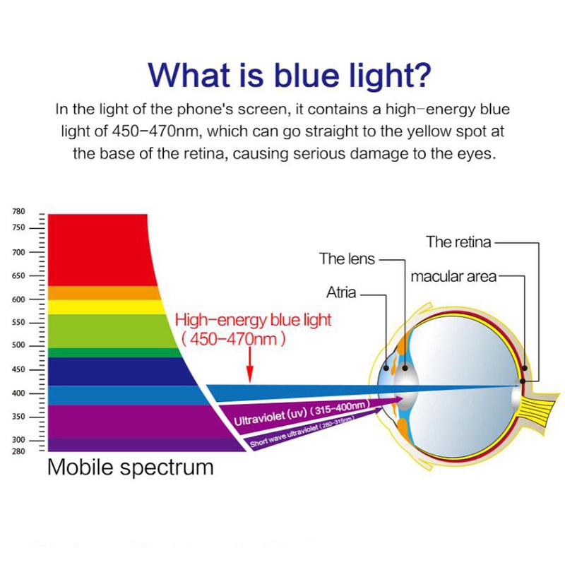 Kính cường lực Nhám chống vân tay - Full Màn Cho iPhone 14 13 12 11 Pro Max X XS XR 6 6S 7 8 Plus