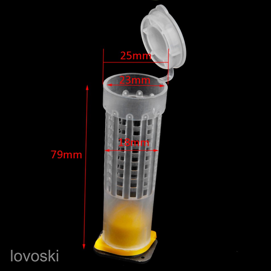 Set 5 lồng nuôi ong chúa tiện dụng