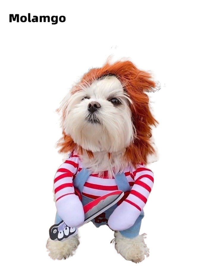 Bộ đồ hóa trang dịp lễ Halloween vui nhộn dành cho thú cưng