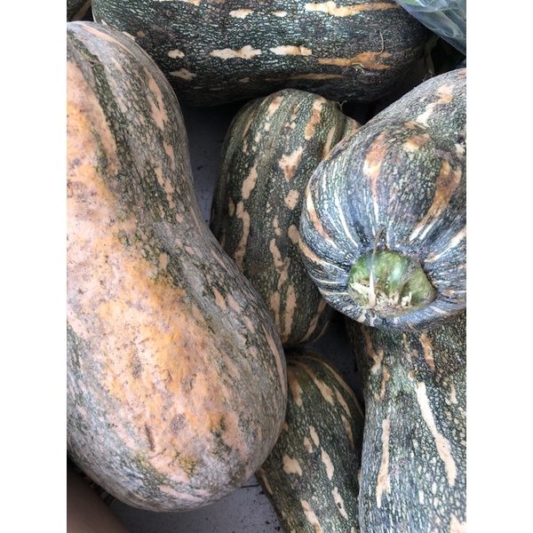 bí đỏ lâm đồng 1kg