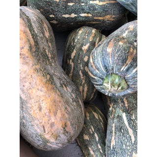 Bí đỏ lâm đồng 1kg