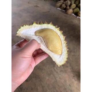 5kg Sầu riêng rụng (sầu ta rụng)